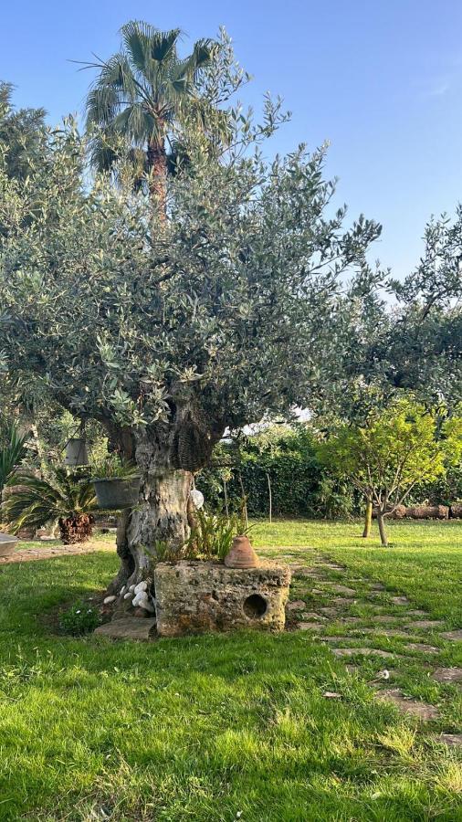 Bed and Breakfast La Finestra Sul Limone Castelvetrano Exterior foto