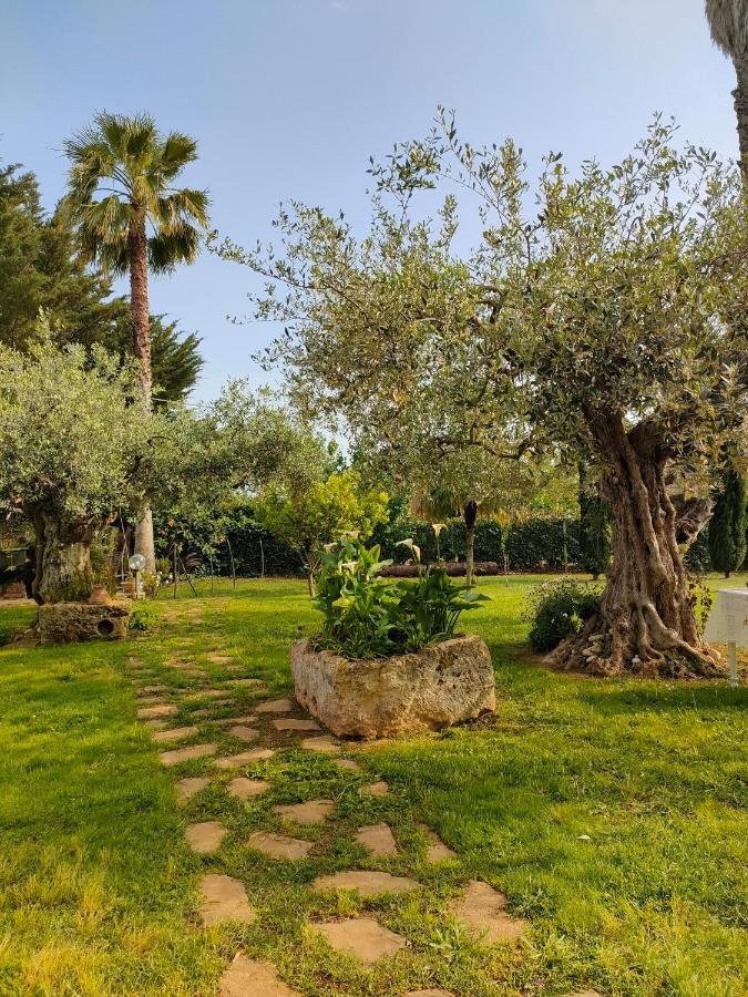 Bed and Breakfast La Finestra Sul Limone Castelvetrano Exterior foto